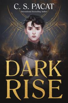 Dark Rise Read online
