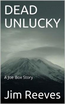 DEAD UNLUCKY: A Joe Box Story Read online