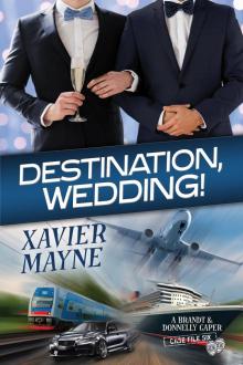 Destination, Wedding! Read online