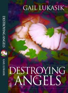 Destroying Angels (Leigh Girard Book 1) Read online