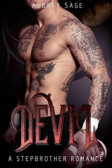 DEVIL: A Stepbrother Romance Read online