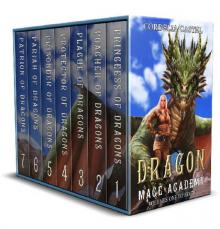 Dragon Mage Academy Box Set Read online
