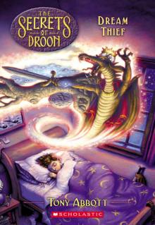Dream Thief (The Secrets of Droon #17)