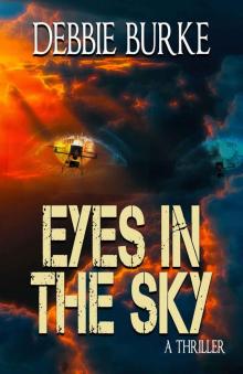 Eyes in the Sky Read online