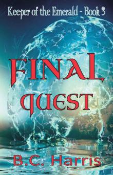 Final Quest Read online