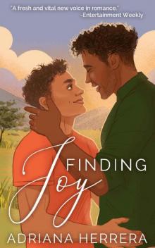 Finding Joy: A Gay Romance Read online