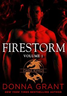 Firestorm: Volume 1: A Dragon Romance Read online