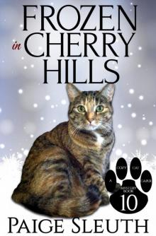 Frozen in Cherry Hills Read online