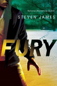 Fury (Blur Trilogy Book 2) Read online