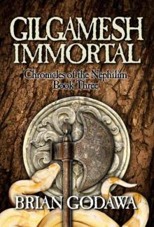 Gilgamesh Immortal Read online
