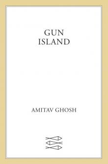 Gun Island Read online