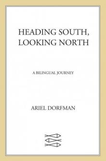 Heading South, Looking North: A Bilingual Journey