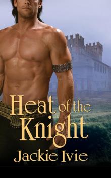 Heat of the Knight Read online