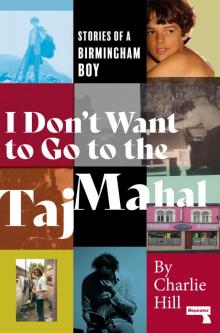 I Don't Want to Go to the Taj Mahal Read online