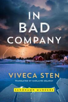 In Bad Company (Sandhamn Murders) Read online