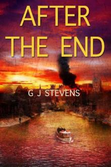In The End | Book 3 | After The End Read online