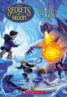 In the Ice Caves of Krog (The Secrets of Droon #20) Read online