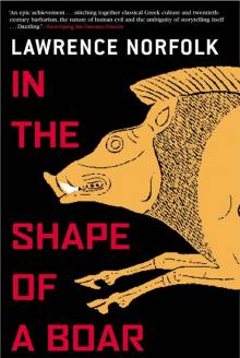 In the Shape of a Boar Read online