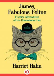 James, Fabulous Feline Read online