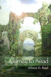 Journey to Aviad Read online