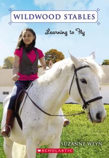 Learning to Fly Read online