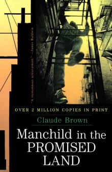 Manchild in the Promised Land Read online