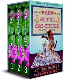 Meow for Murder Mysteries Boxed Set