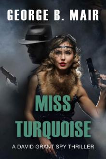 Miss Turquoise Read online