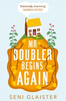 Mr Doubler Begins Again Read online