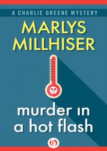 Murder in a Hot Flash Read online