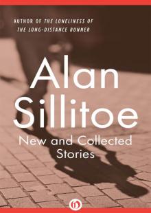 New and Collected Stories Read online