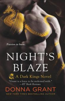 Night's Blaze Read online