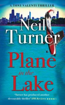 Plane in the Lake Read online