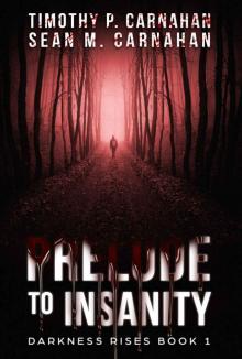 Prelude To Insanity Read online