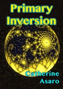 Primary Inversion Read online
