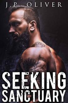Seeking Sanctuary (Hometown Heroes Book 2) Read online