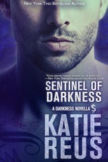 Sentinel of Darkness Read online