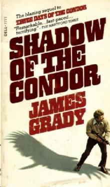 Shadow of the Condor Read online
