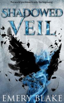 Shadowed Veil Read online