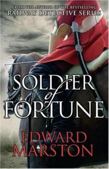Soldier of Fortune Read online