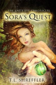 Sora's Quest Read online