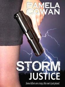 Storm Justice Read online