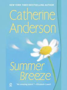 Summer Breeze Read online