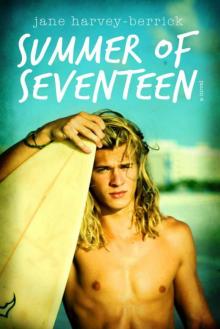 Summer of Seventeen Read online