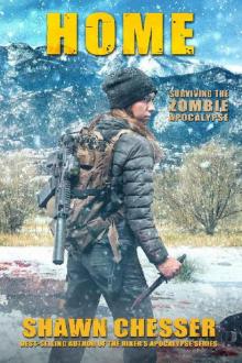 Surviving The Zombie Apocalypse (Book 14): Home Read online