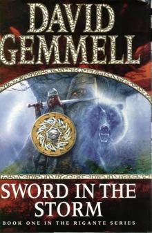 Sword in the Storm Read online