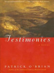 Testimonies: A Novel Read online