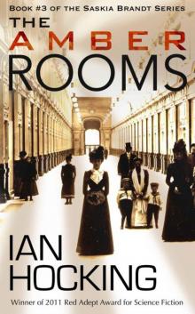 The Amber Rooms Read online