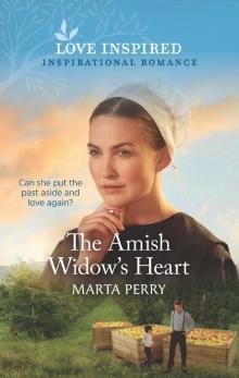 The Amish Widow's Heart Read online