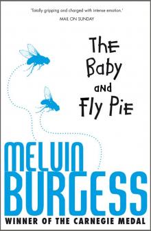 The Baby and Fly Pie Read online